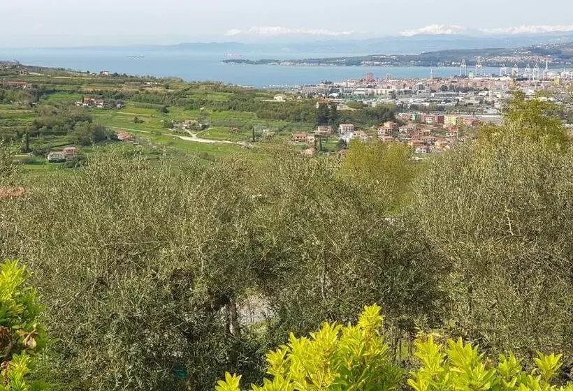 پانسیون Apartment And Rooms Parus