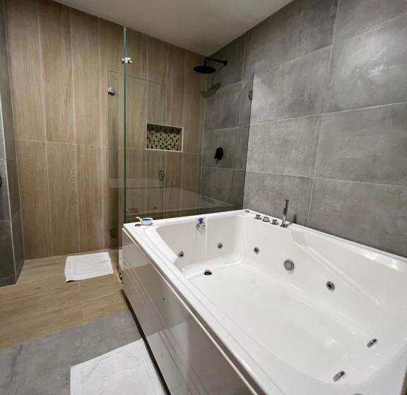 هتل Buena Vista Express