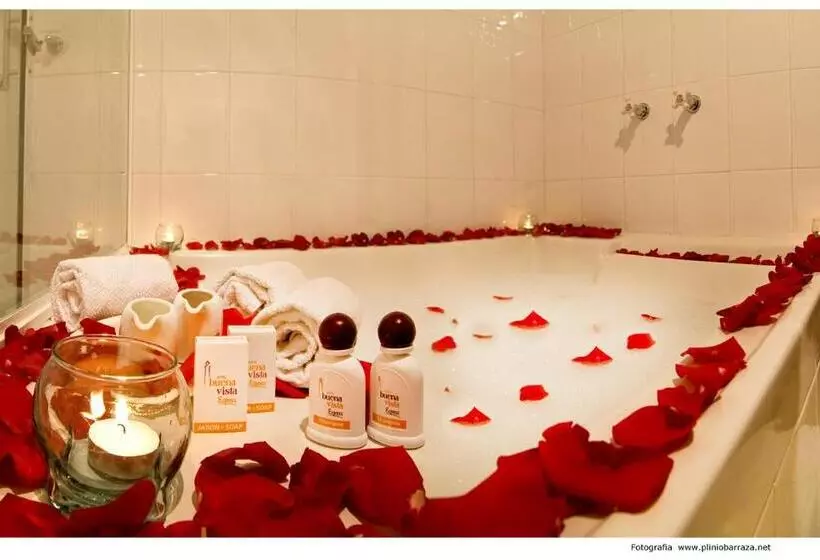 Hotel Buena Vista Express