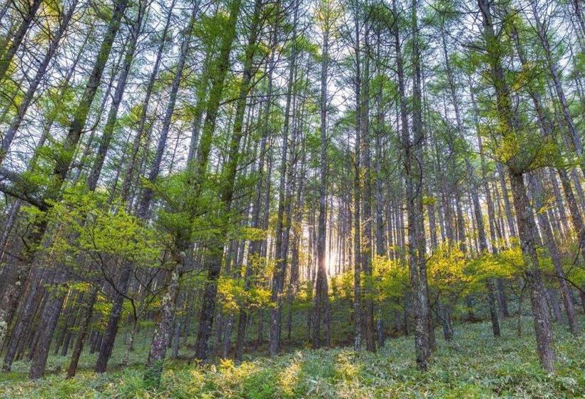 בית מלון כפרי The Arista