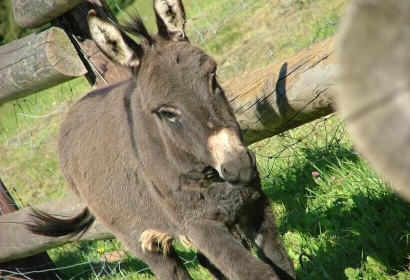 Hotel Agritur Dalaip Dei Pape