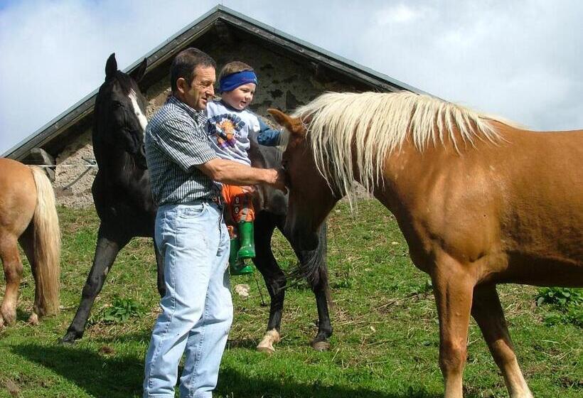 Hotel Agritur Dalaip Dei Pape