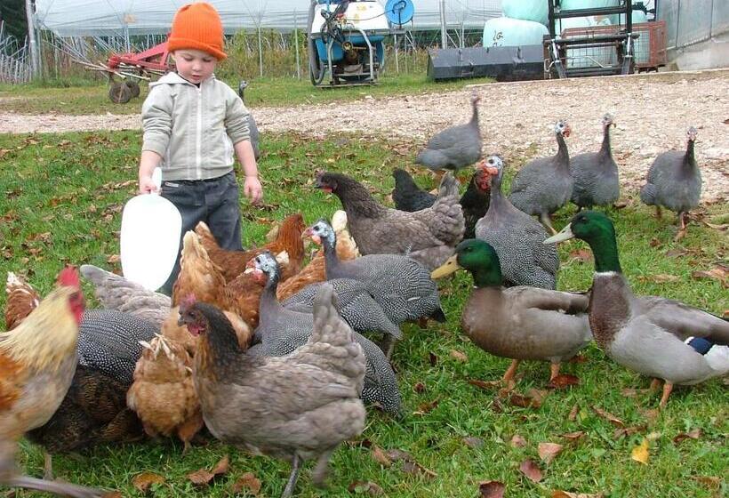 Hotel Agritur Dalaip Dei Pape