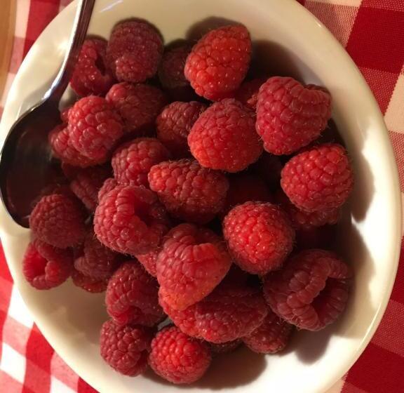 Hotel Agritur Dalaip Dei Pape