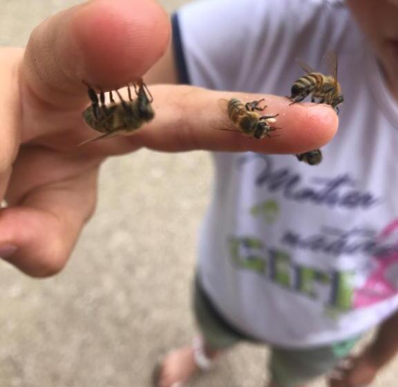 Hotel Agritur Dalaip Dei Pape