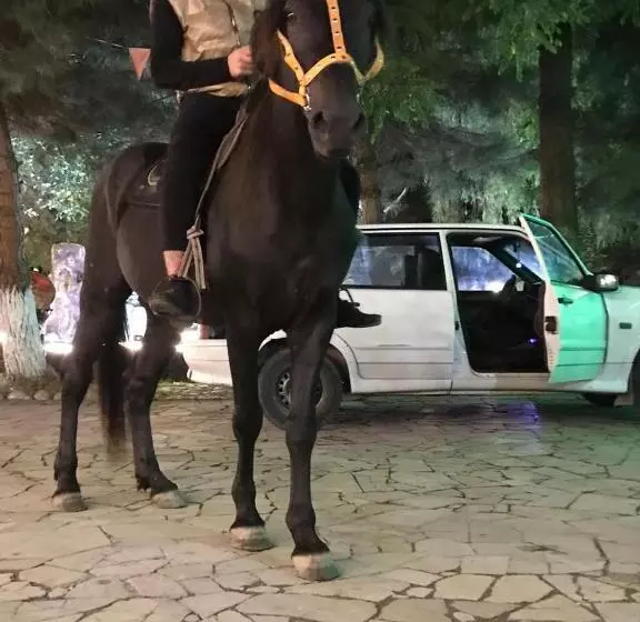 هتل Umud