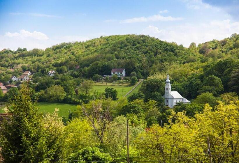 Пансион Lótuszvirág Vendégház