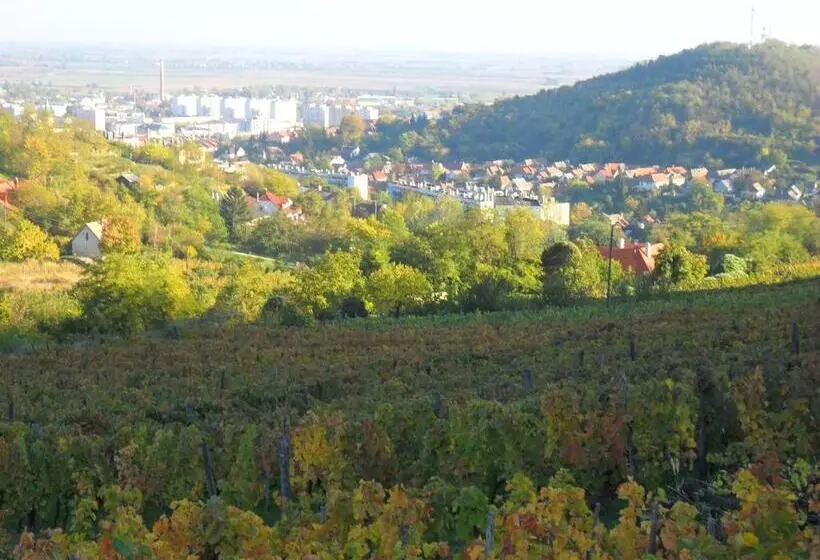 Majatalo Lótuszvirág Vendégház