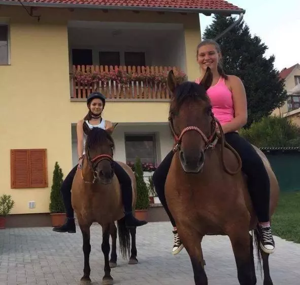 Majatalo Lótuszvirág Vendégház