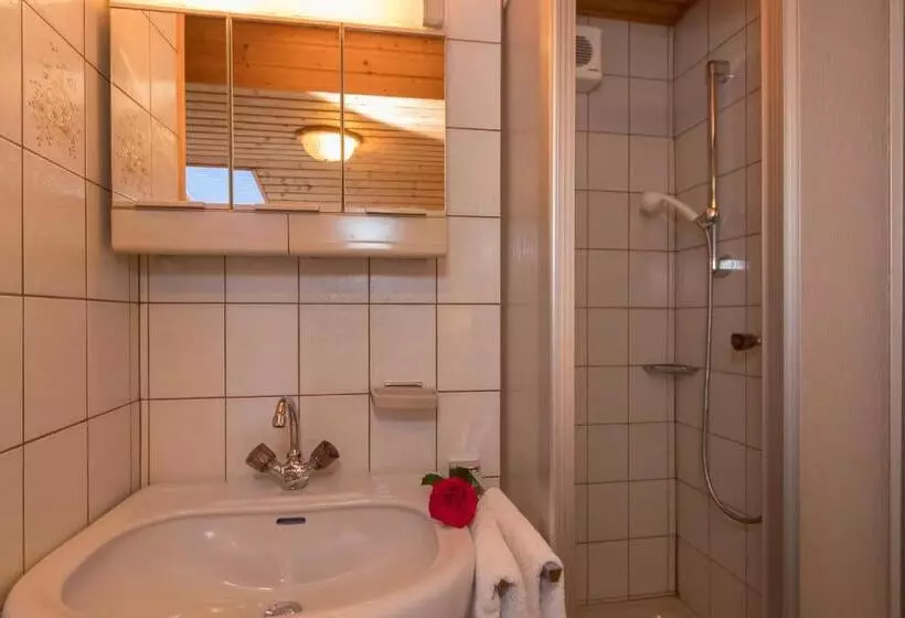 ペンション Teufenbachgut