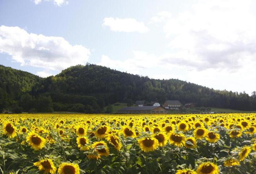 Post Hostel For Youth, Students And Pilgrims