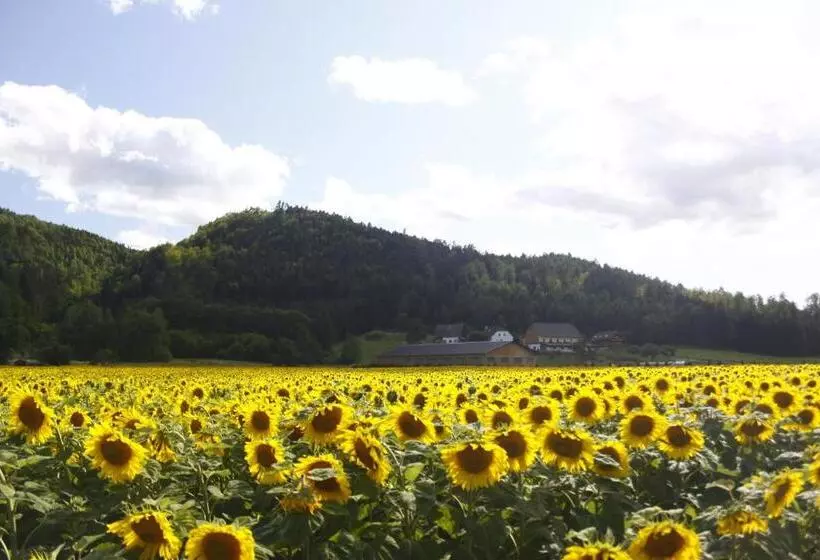 Post Hostel For Youth, Students And Pilgrims