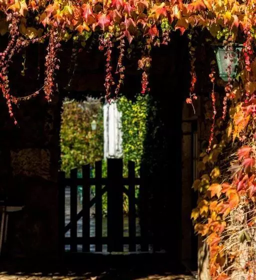 Bed and Breakfast Casa Da Roseira