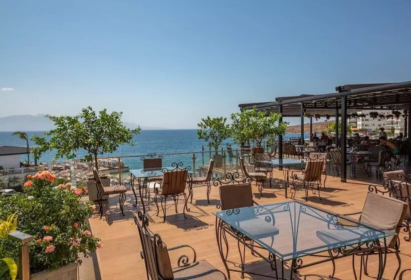 ホテル Apollon Sarande