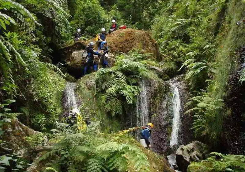 ホテル Aqua Natura Madeira