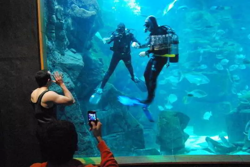 ホテル Aqua Natura Madeira