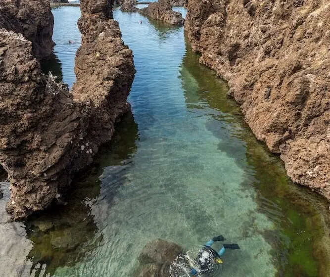 هتل Aqua Natura Madeira