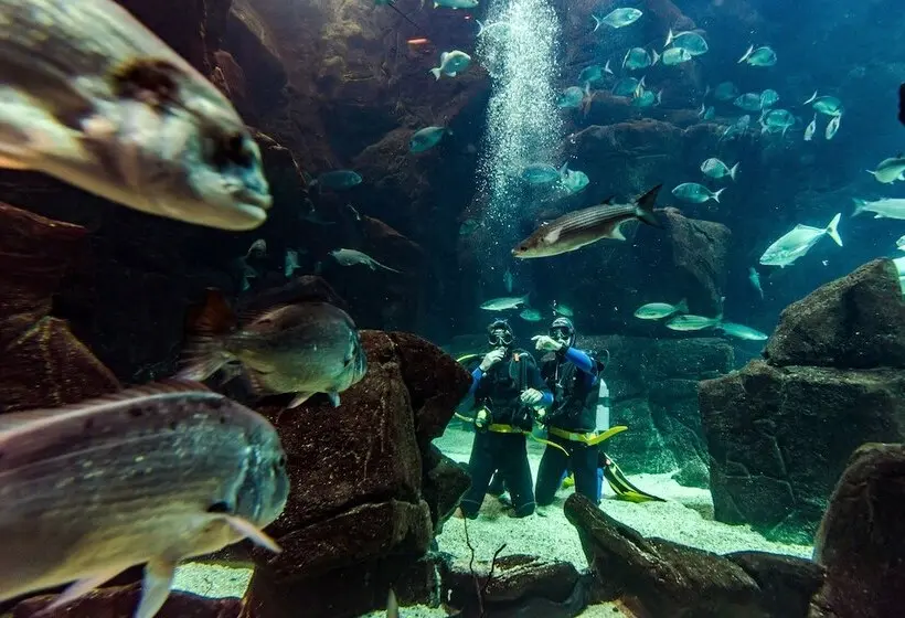 هتل Aqua Natura Madeira