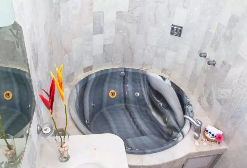 בית מלון כפרי The Alondra