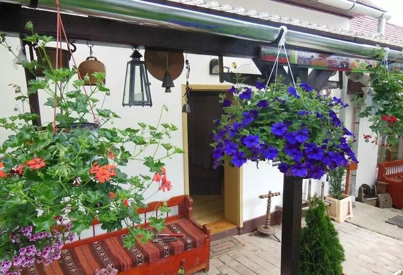 هتل Pension Bassen