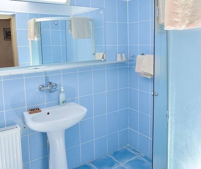 هتل Pension Bassen