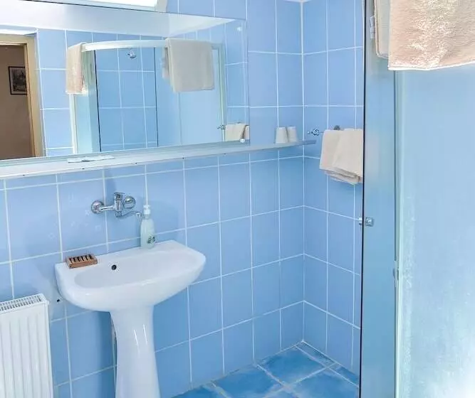 هتل Pension Bassen