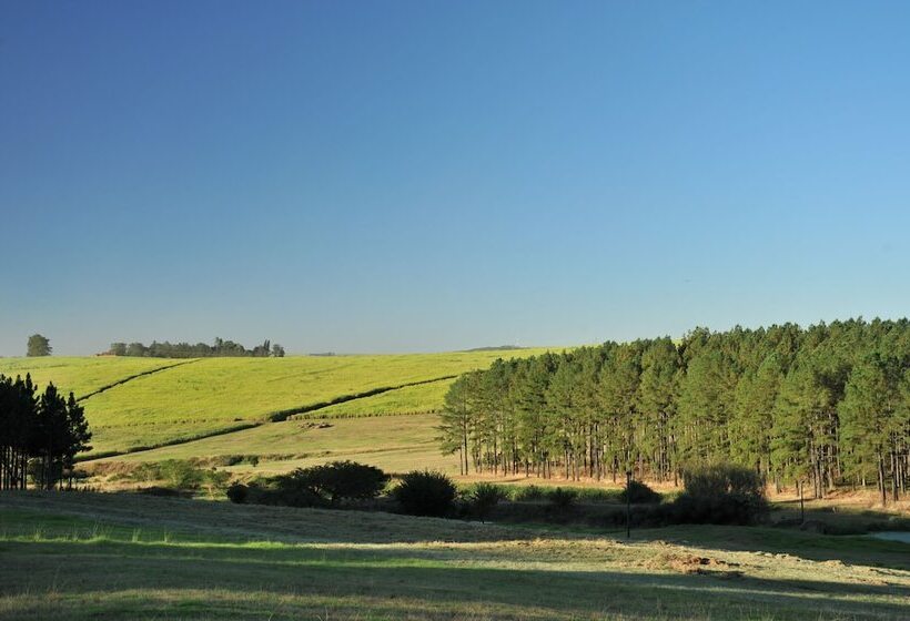 فندق Wartburger Hof