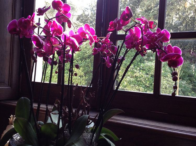 膳宿费 La Rucheliere