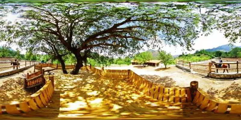 Akkaya Garden Apartment