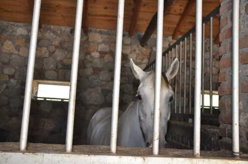 Akkaya Garden Apartment