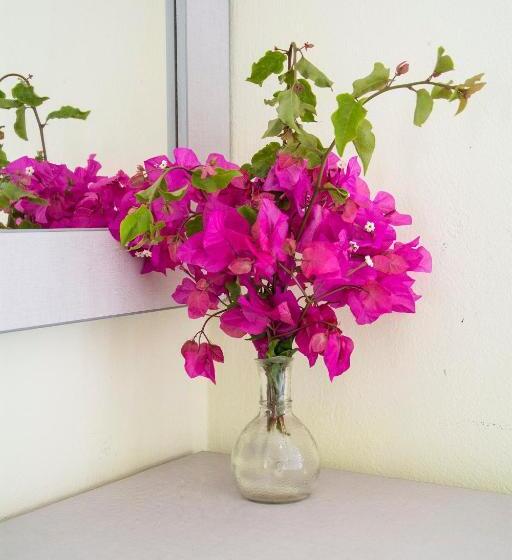 בית מלון כפרי Alkion