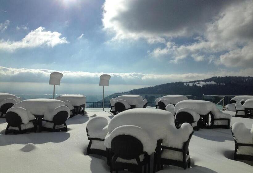 فندق Grand Hôtel Des Rasses & Wellness