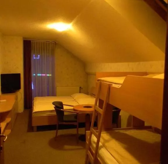 هتل Krona Domžale