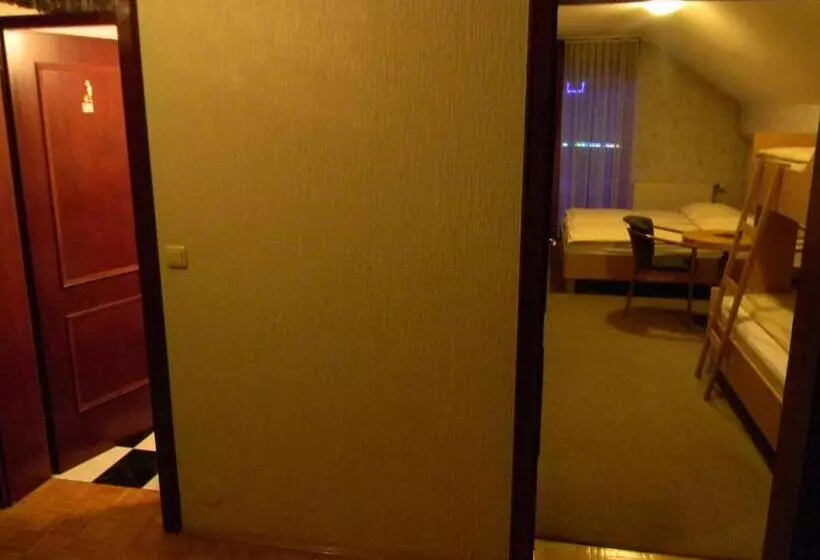 هتل Krona Domžale