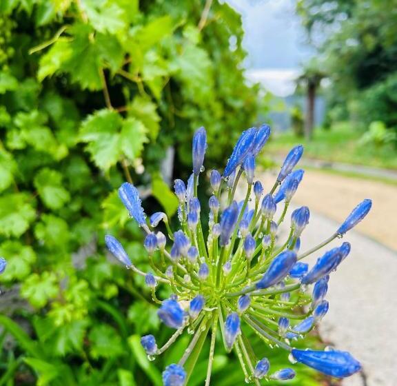 إقامة Côté Océan Resort
