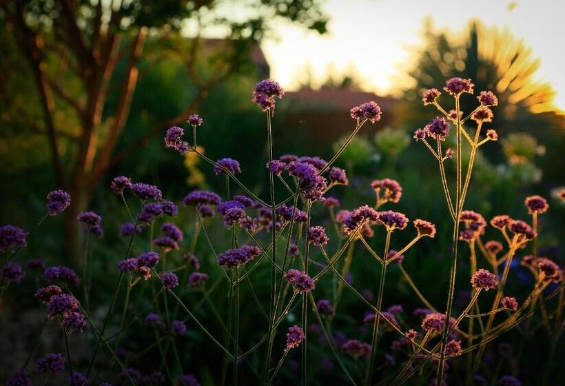 إقامة Côté Océan Resort