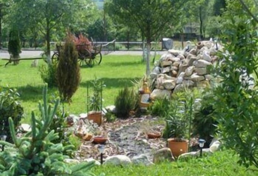 בית מלון כפרי Bran Belvedere International