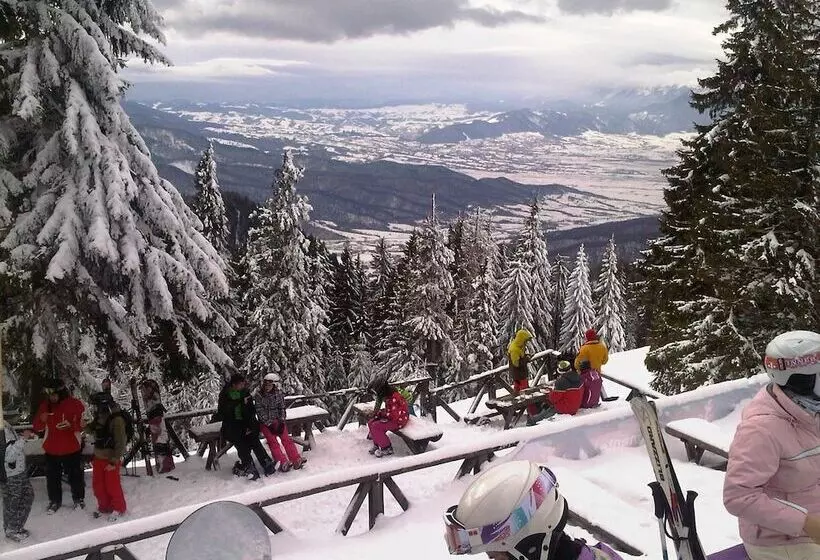 ホテル Bran Belvedere International