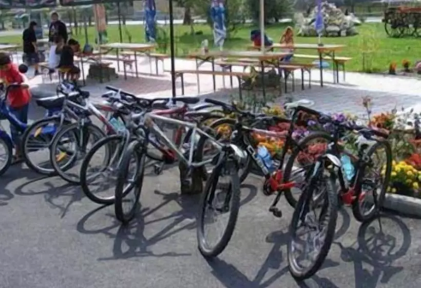 ホテル Bran Belvedere International