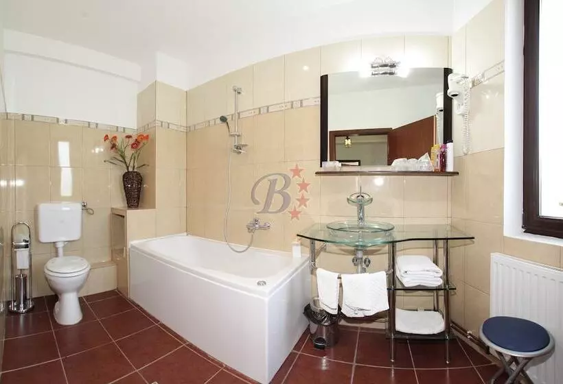 ホテル Bran Belvedere International