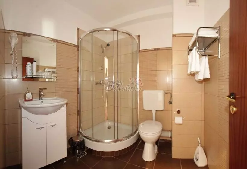 ホテル Bran Belvedere International