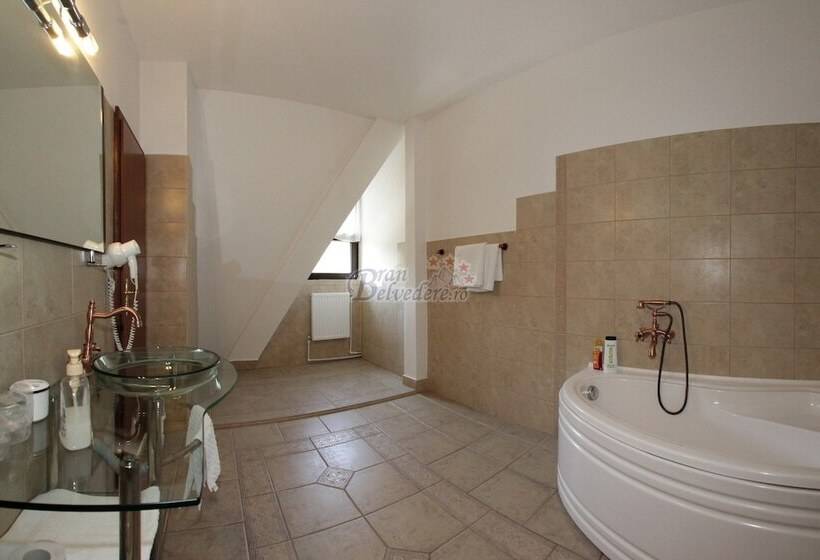 בית מלון כפרי Bran Belvedere International