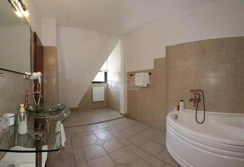 ホテル Bran Belvedere International