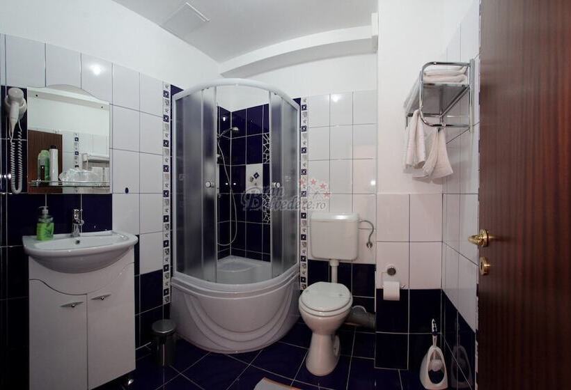 בית מלון כפרי Bran Belvedere International