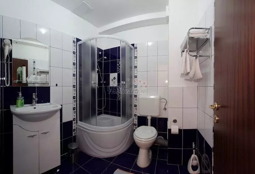 ホテル Bran Belvedere International