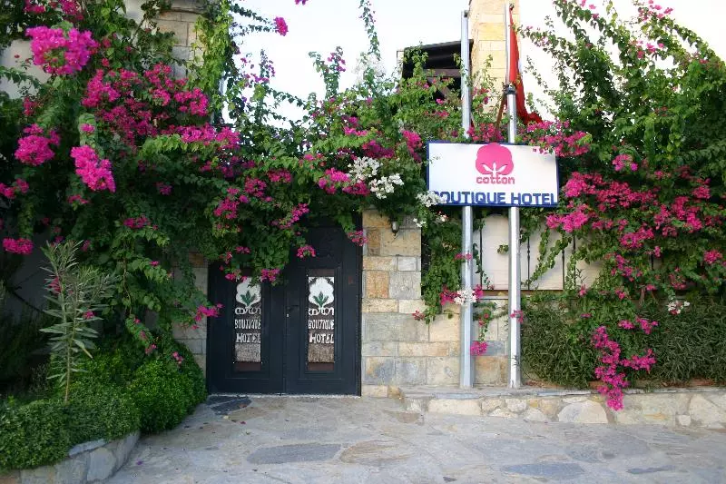 هتل Cotton