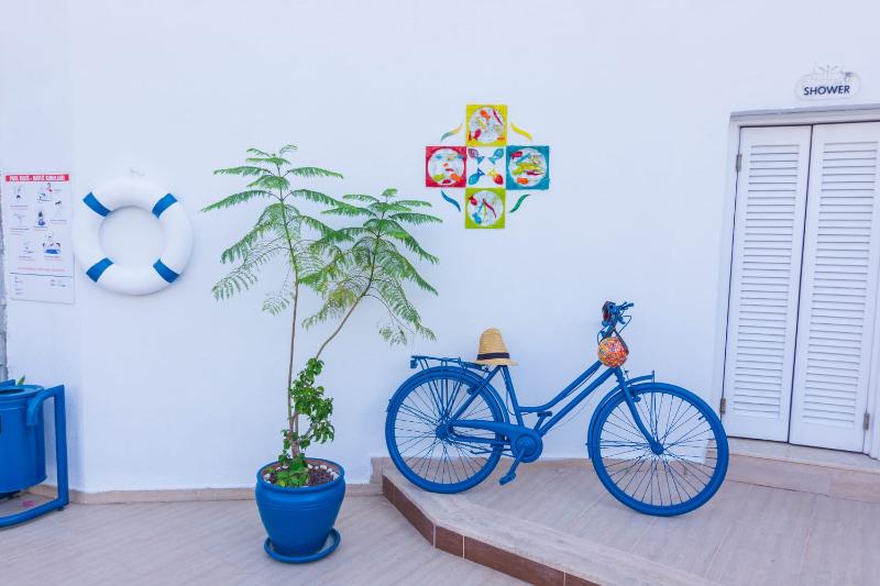 בית מלון כפרי Cotton