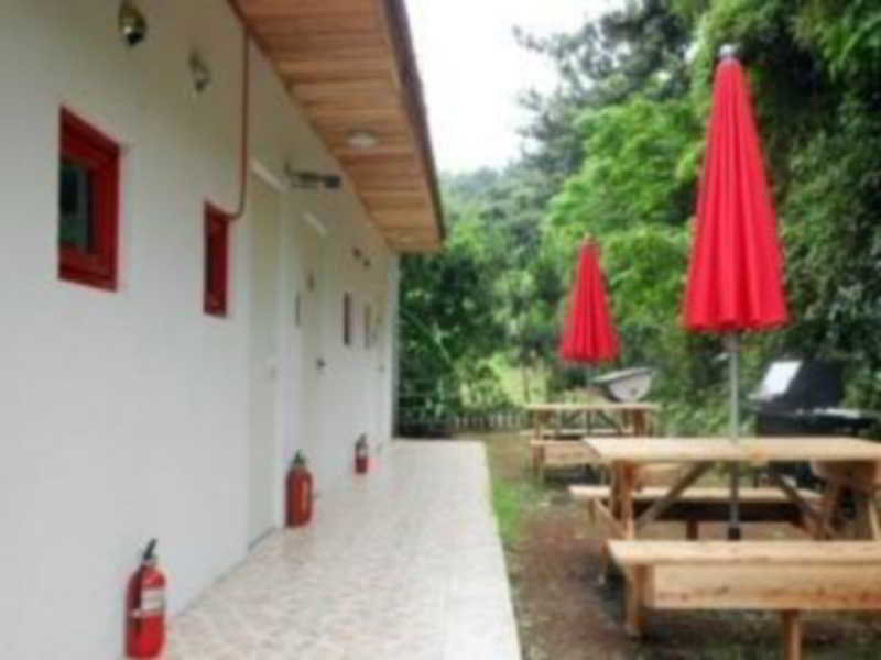 Hôtel Dreaming Forest Pension