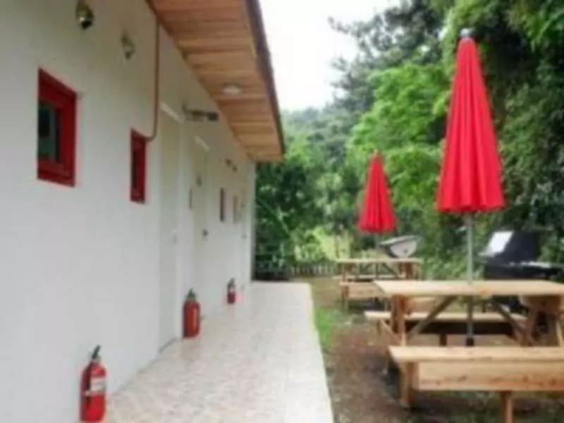 ホテル Dreaming Forest Pension