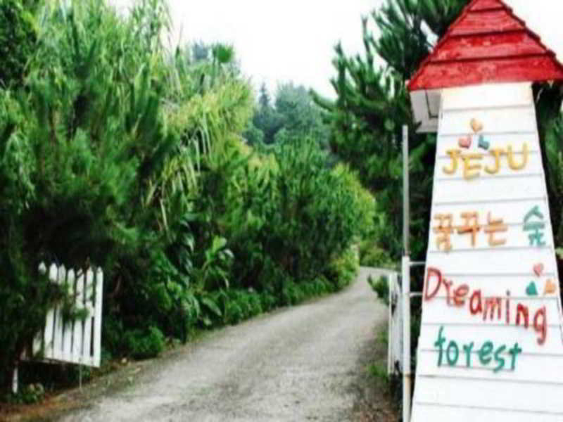 Hôtel Dreaming Forest Pension